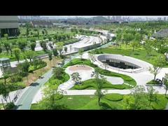 Hệ thống chống UAV Wukong